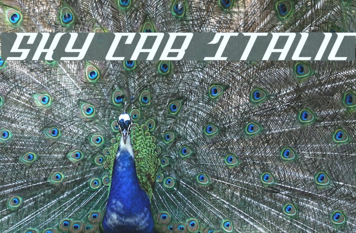 Sky Cab Italic Example 2