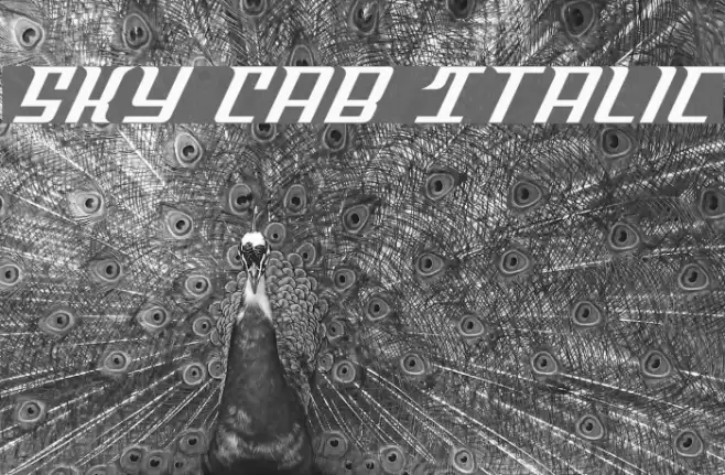 Sky Cab Italic Font examples
