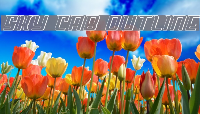 Sky Cab Outline Font examples