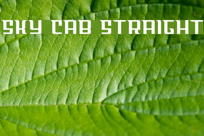 Sky Cab Straight Font examples
