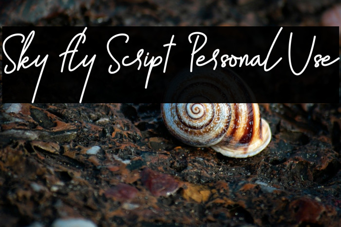 Sky Fly Script - Personal Use Example 1