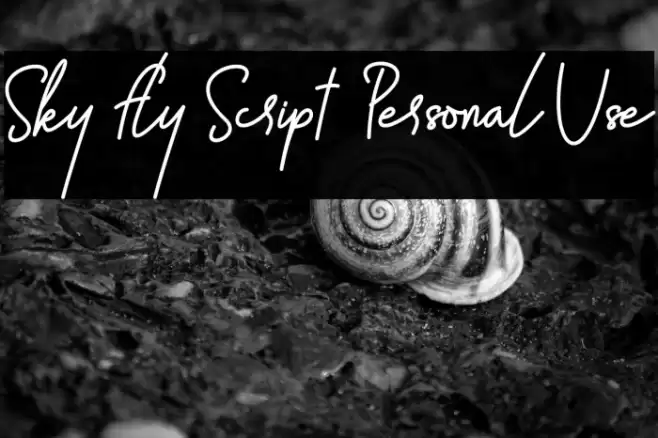 Sky Fly Script - Personal Use Font examples