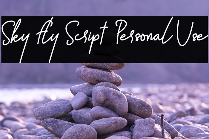 Sky Fly Script - Personal Use Example 2