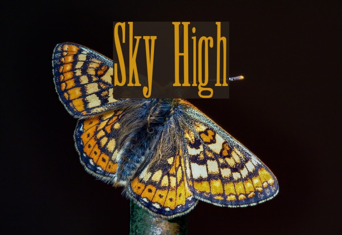 Sky High Font examples