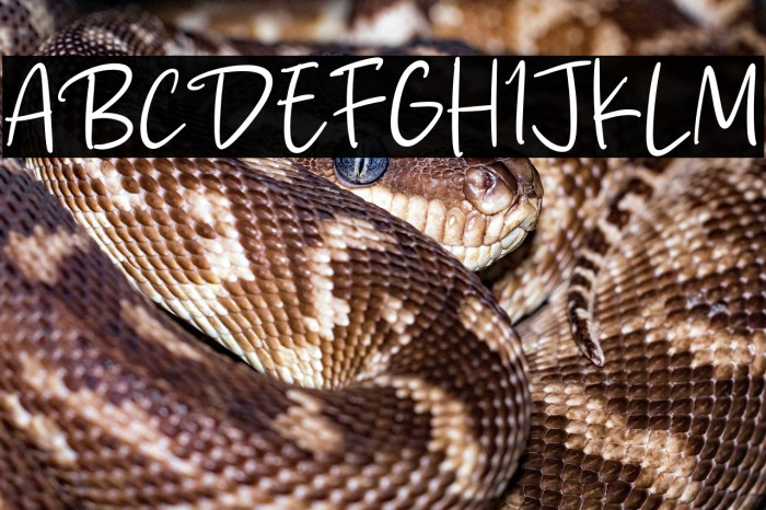 Sky Landing Example 2