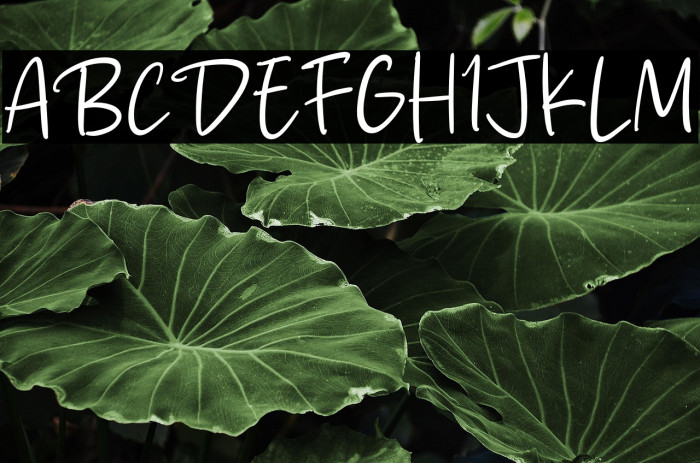 Sky Landing Example 3