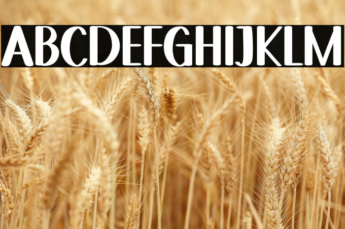 Sky Letter Example 2