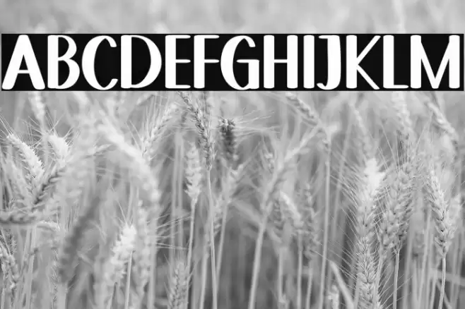 Sky Letter Font examples