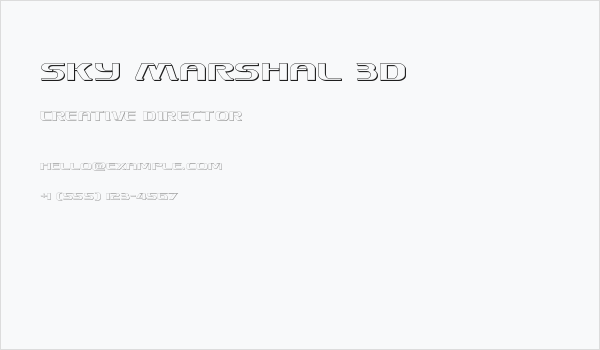 Sky Marshal 3D Business Card