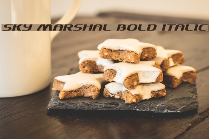 Sky Marshal Bold Italic Example 1