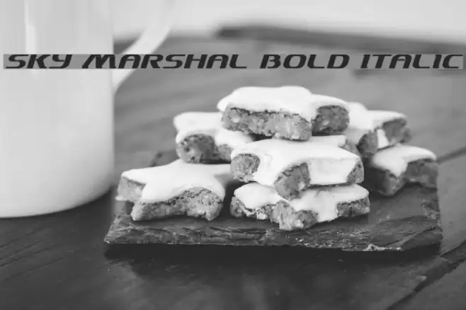 Sky Marshal Bold Italic Font examples