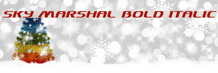 Sky Marshal Bold Italic Example 2