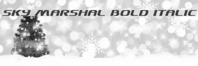 Sky Marshal Bold Italic Font examples