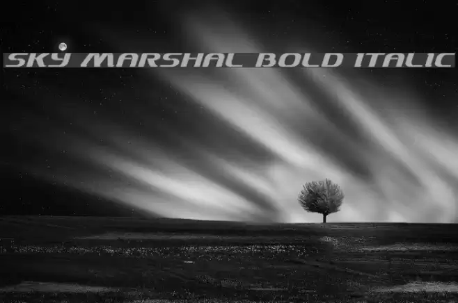 Sky Marshal Bold Italic Font examples