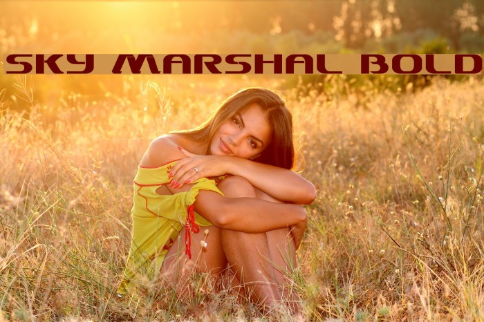 Sky Marshal Bold Font examples