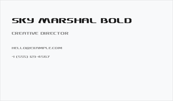 Sky Marshal Bold Business Card