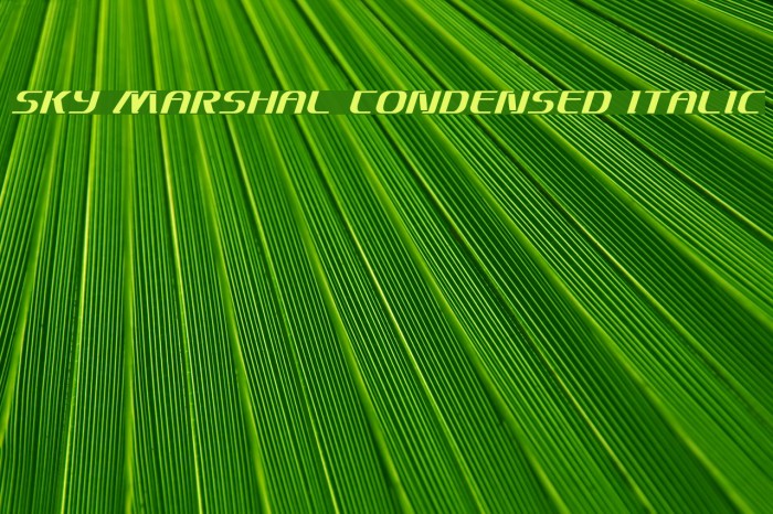 Sky Marshal Condensed Italic Font examples