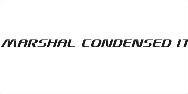 Sky Marshal Condensed Italic Logo