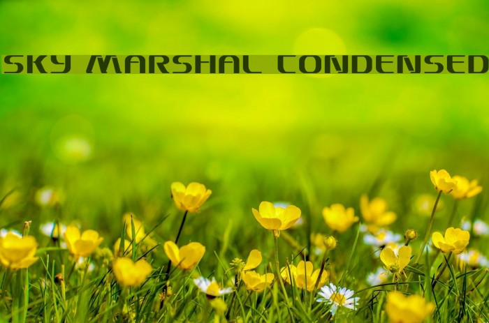 Sky Marshal Condensed Font examples