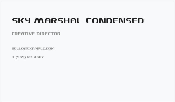 Sky Marshal Condensed Business Card