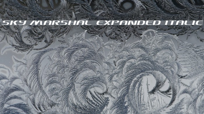 Sky Marshal Expanded Italic Font examples