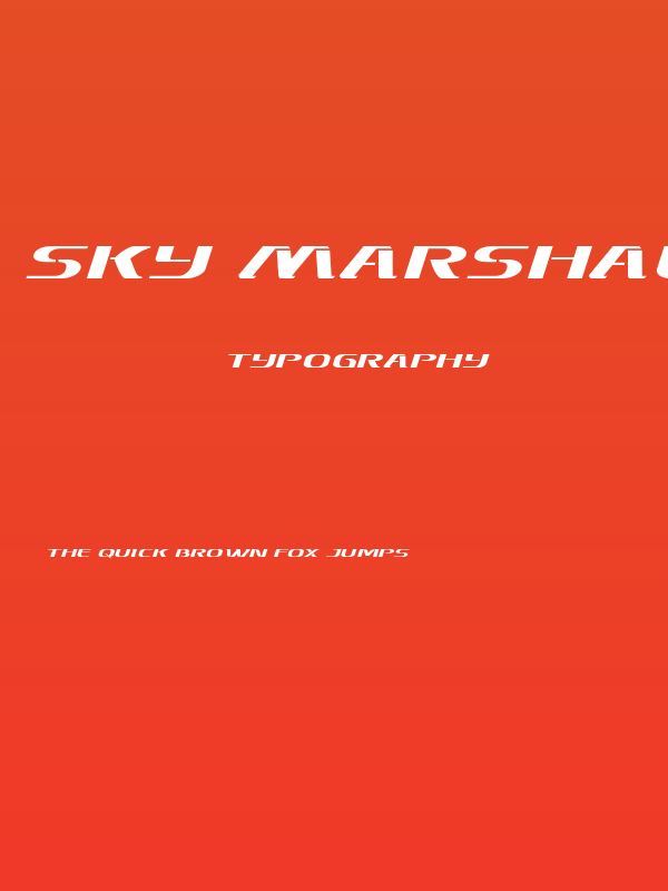Sky Marshal Expanded Italic Poster