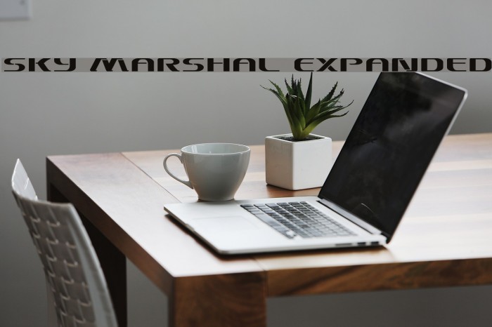 Sky Marshal Expanded Example 1