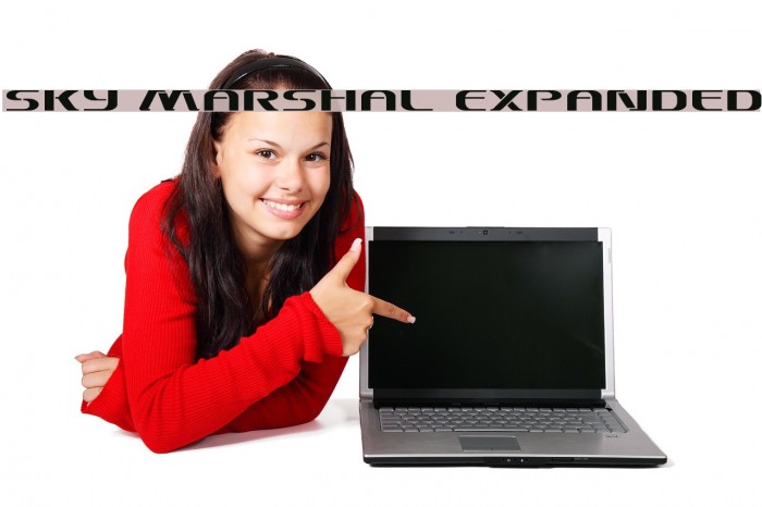 Sky Marshal Expanded Example 2