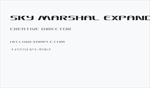 Sky Marshal Expanded Business Card