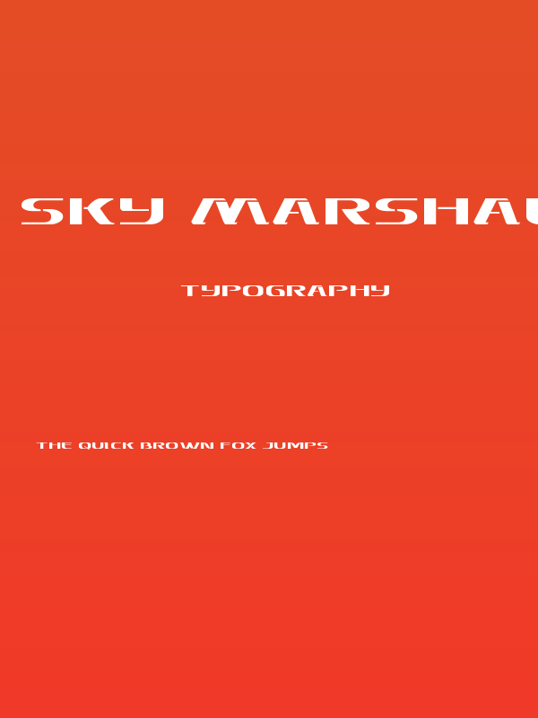 Sky Marshal Expanded Poster