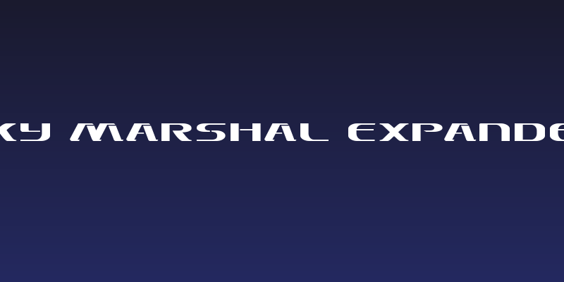 Sky Marshal Expanded Social Header