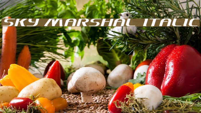 Sky Marshal Italic Example 2