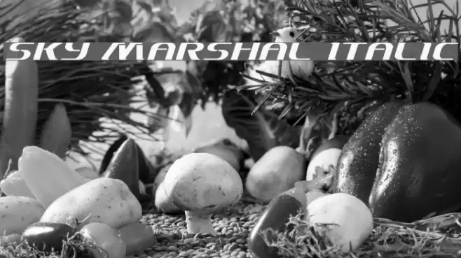 Sky Marshal Italic Font examples