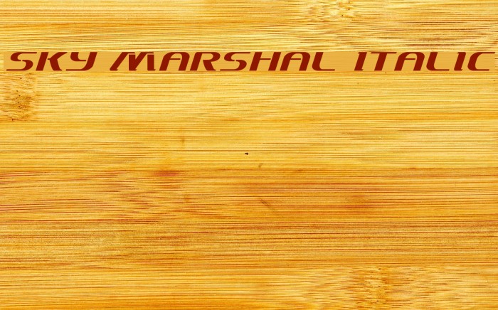 Sky Marshal Italic Example 3