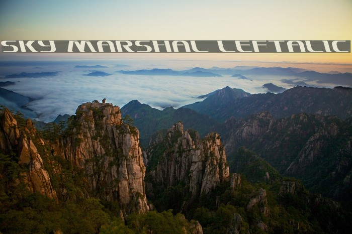 Sky Marshal Leftalic Font examples