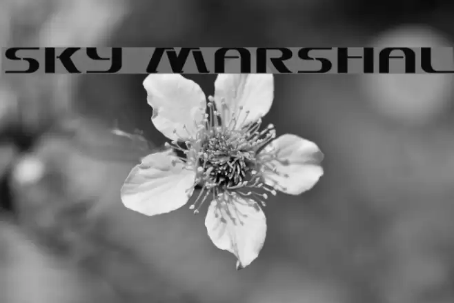 Sky Marshal Font examples