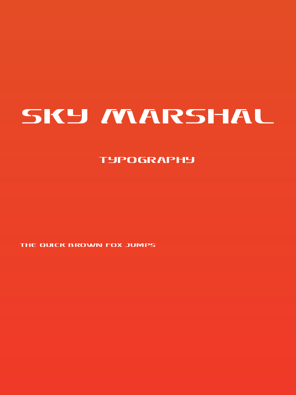 Sky Marshal Poster