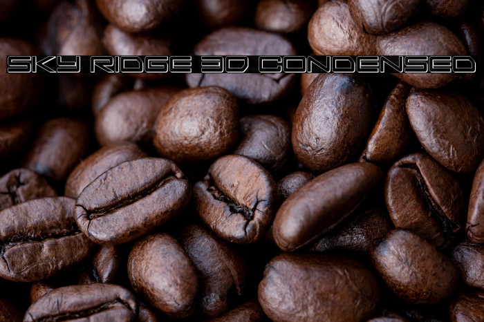 Sky Ridge 3D Condensed Example 1