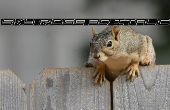 Sky Ridge 3D Italic Example 2