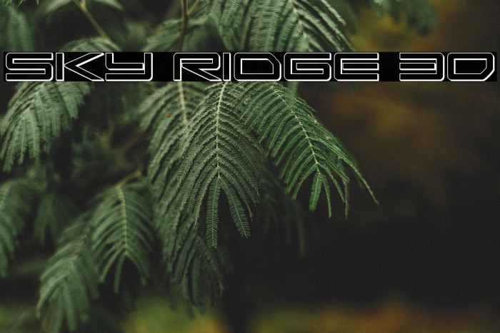 Sky Ridge 3D Example 1