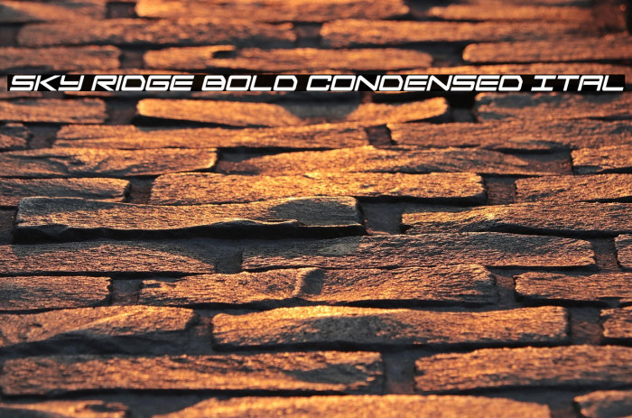 Sky Ridge Bold Condensed Ital Example 1