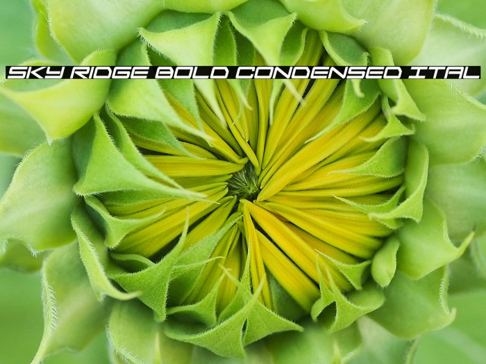 Sky Ridge Bold Condensed Ital Example 2