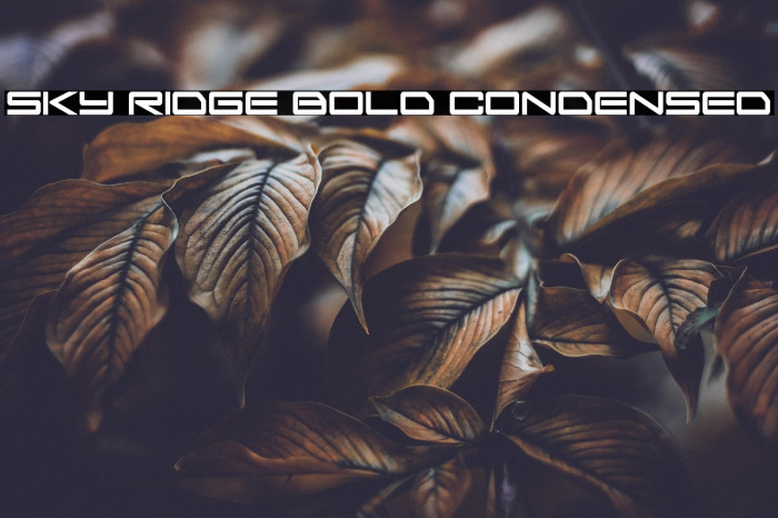 Sky Ridge Bold Condensed Example 1