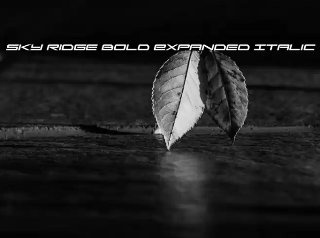 Sky Ridge Bold Expanded Italic Font examples