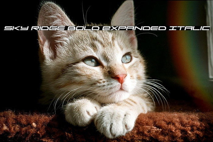 Sky Ridge Bold Expanded Italic Example 3