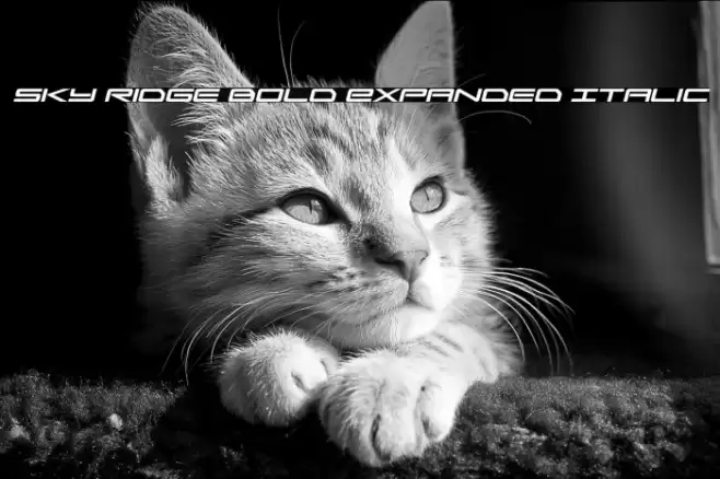 Sky Ridge Bold Expanded Italic Font examples