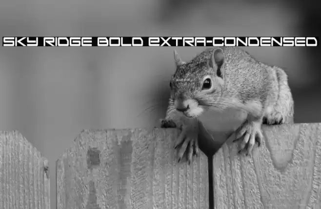 Sky Ridge Bold Extra-Condensed Font examples