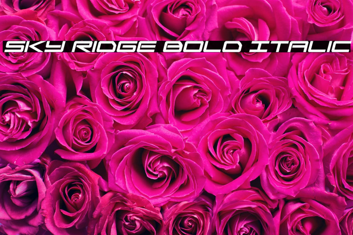 Sky Ridge Bold Italic Example 1