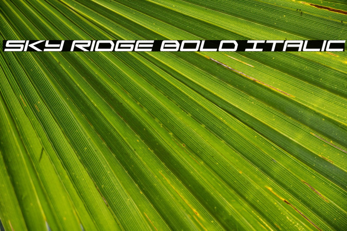 Sky Ridge Bold Italic Example 3