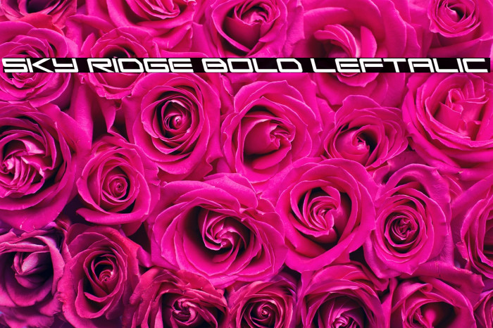 Sky Ridge Bold Leftalic Example 2